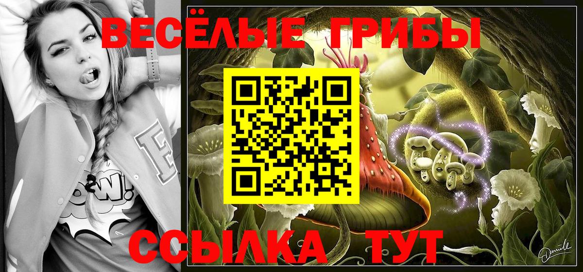 Псилоцибиновые грибы ЛСД  где продают   Нижний Новгород  Вход с VPN 