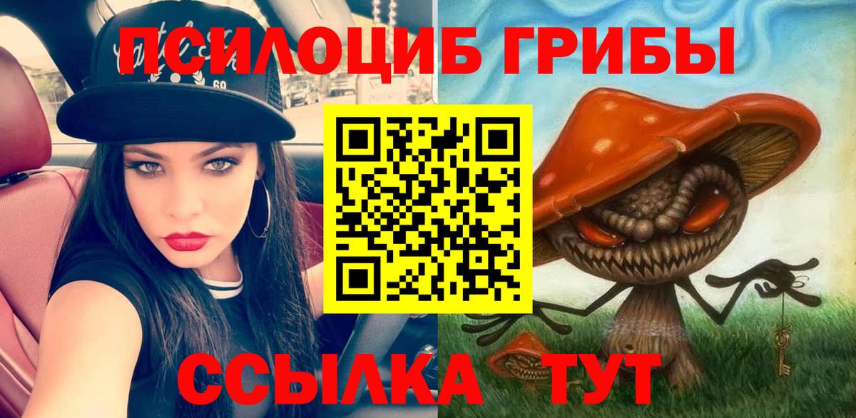 Псилоцибиновые грибы Cubensis Нижний Новгород